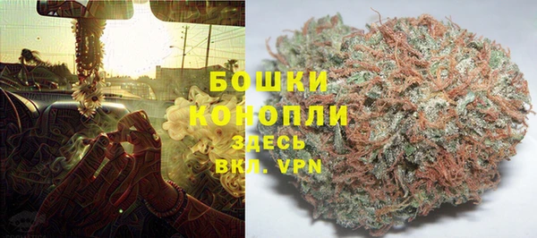 мдпв Бронницы