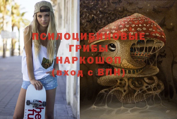 ECSTASY Верхний Тагил