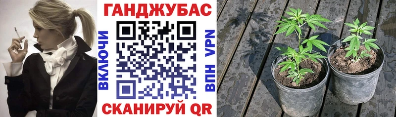 Конопля VHQ Гаврилов-Ям