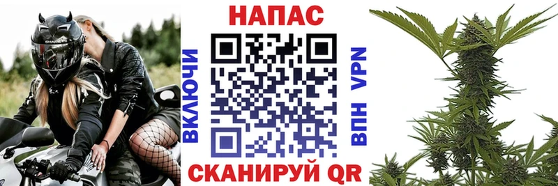 kraken даркнет телеграм Канабис Amnesia Гаврилов-Ям
